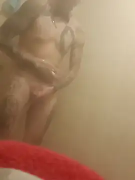 destroassbig2 webcam