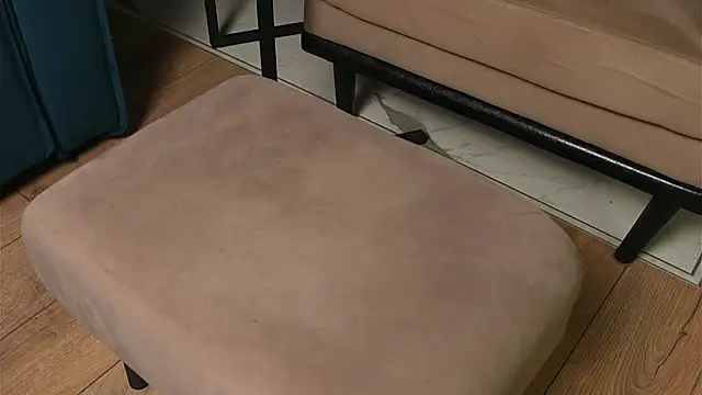 Yourfreebird webcam