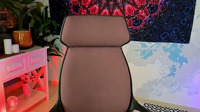LidaDarknet webcam