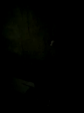 Aguilarcruzkevin31 webcam