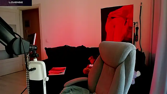Vulgar_Tamer webcam