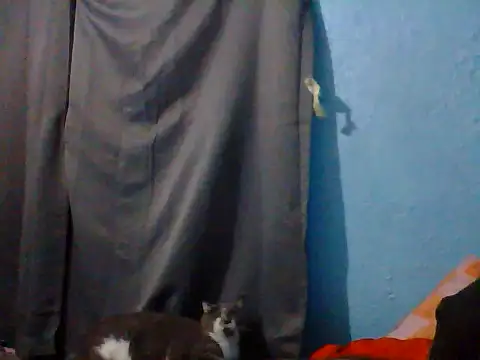 Bwc4u2Ride webcam