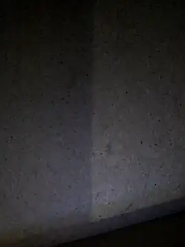 Leocesar37 webcam