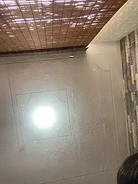 Abby-LS webcam