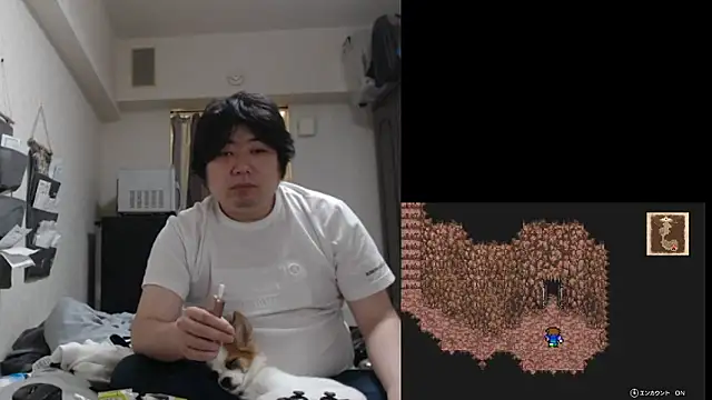 raterate555 webcam