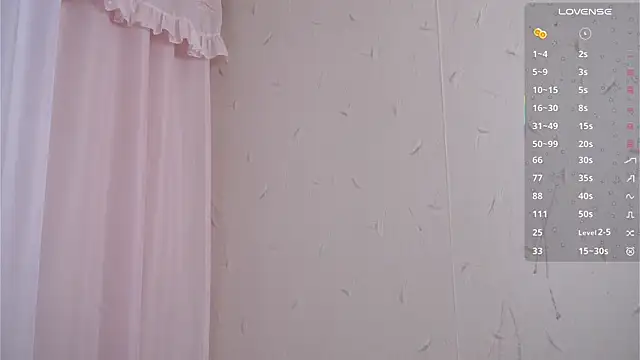 Miaisbeeach webcam