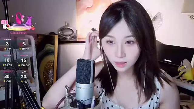Koda-c1 webcam