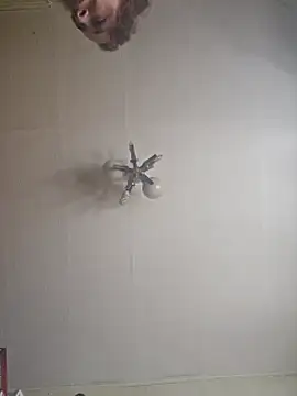 wildlia webcam
