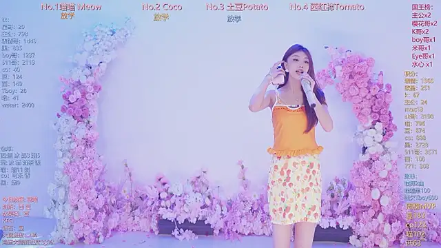 SSF-888 webcam