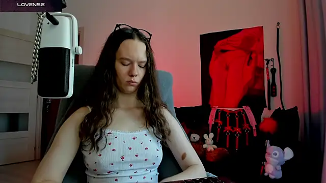 Vulgar_Tamer