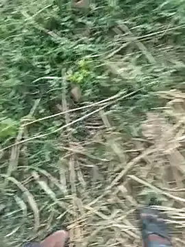 dolphiinn Live Web Cam Show