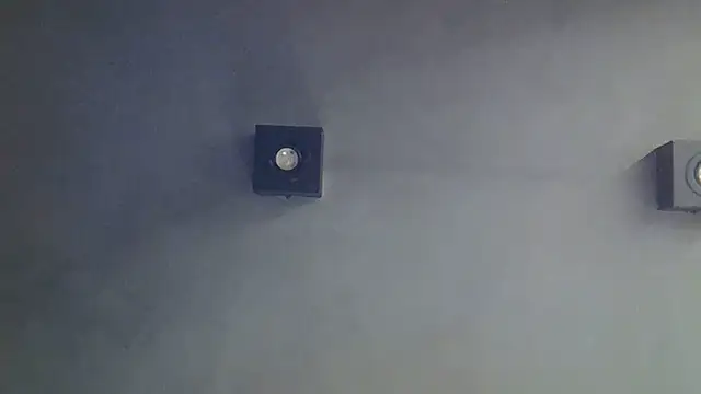 SkinnyKitten webcam
