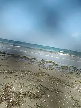 Alley87 webcam