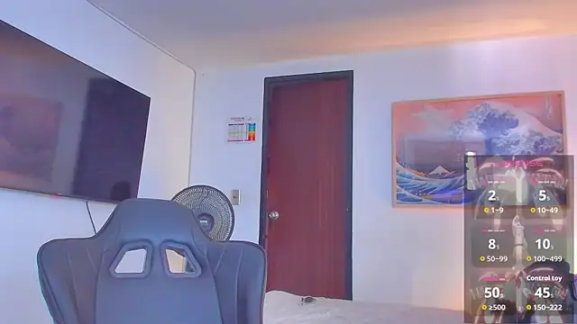 RJBarto webcam