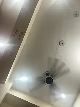 assybauty webcam