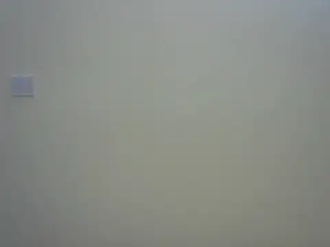 Ebony_fine webcam
