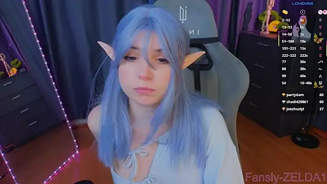 zelda_1 webcam