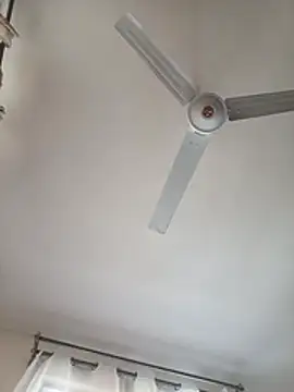 TenderE webcam
