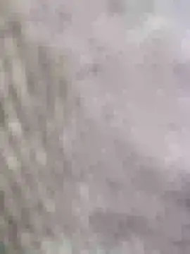 hamstiboy55 webcam
