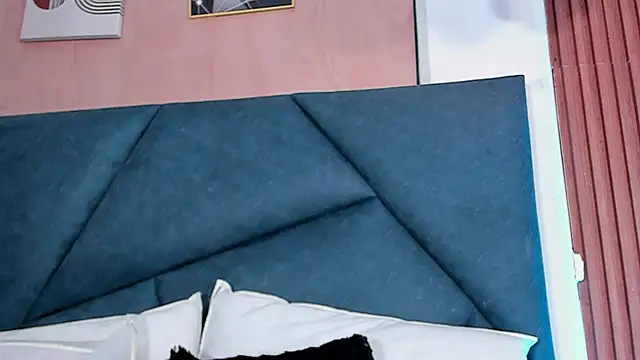 LaurentFerrer webcam