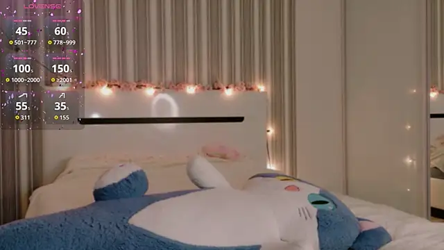 Awwwrora webcam