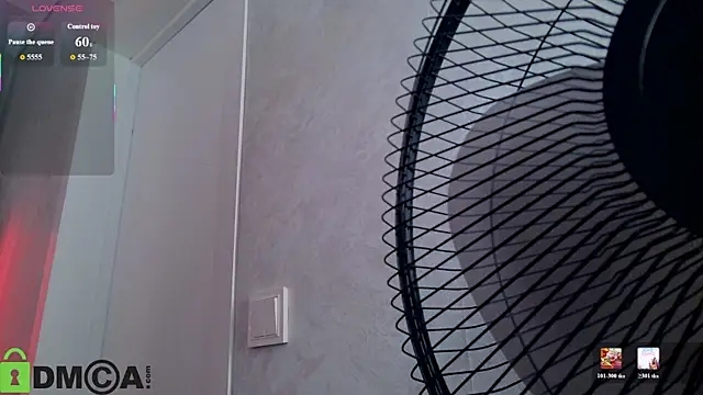 Raybe-Vins webcam