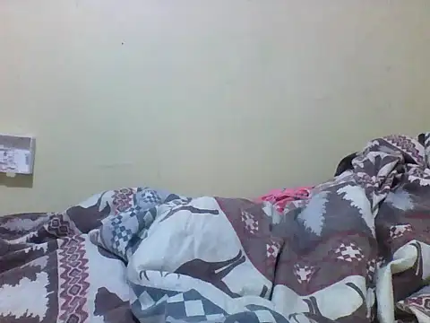 Offchart webcam