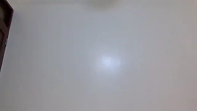 BlueeBerry- webcam