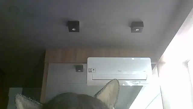 SkinnyKitten webcam