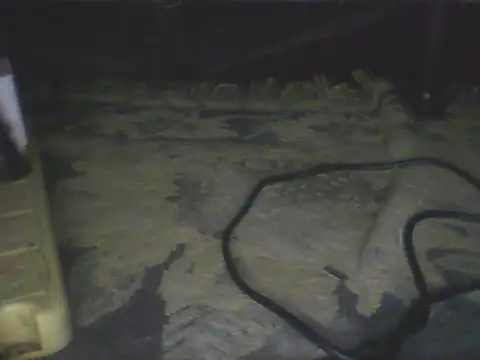 Bebita-zmp webcam