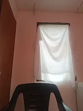 lapatronav2026 webcam