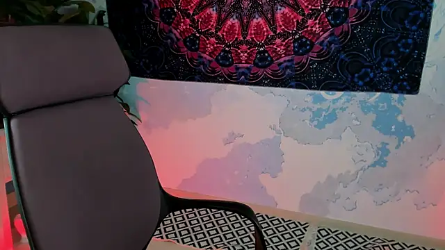 LidaDarknet webcam