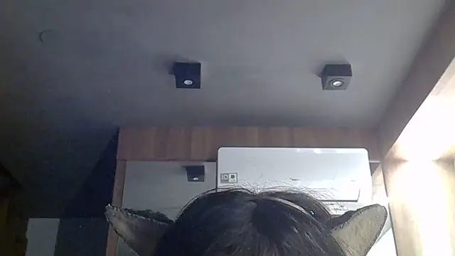 SkinnyKitten webcam
