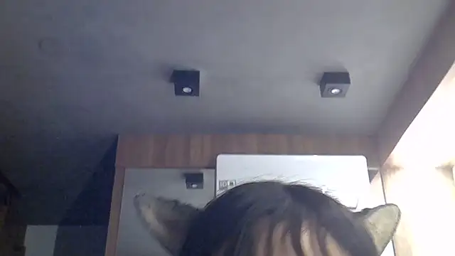 SkinnyKitten webcam