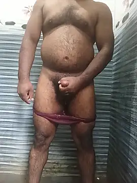 Hiptonos webcam