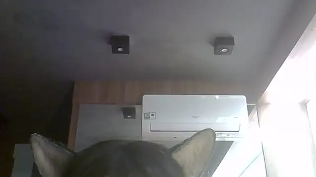 SkinnyKitten webcam
