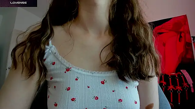 Vulgar_Tamer webcam