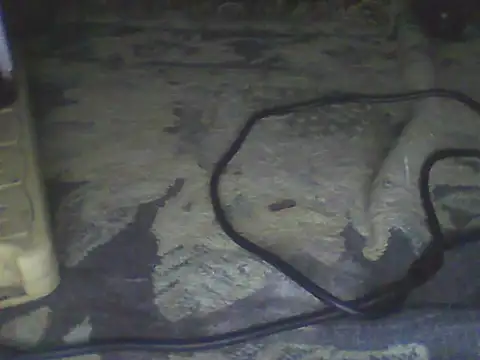 Bebita-zmp webcam