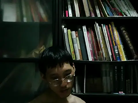 Lv8763 webcam