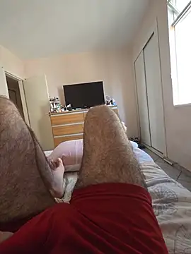 MysterBearMG webcam
