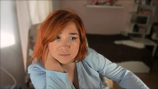 Vi-Vixen webcam