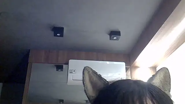 SkinnyKitten webcam