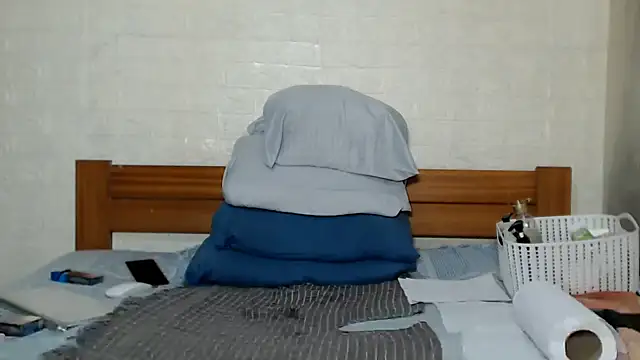 awild_kitten webcam