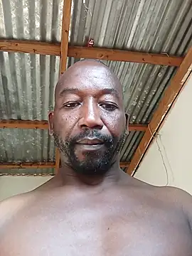 WiseDi Live Web Cam Show