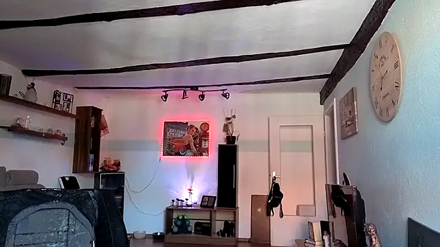 BlueVelvetBat webcam