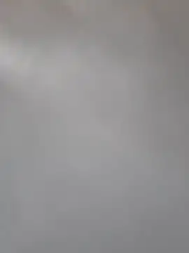 Cataleya_ja webcam