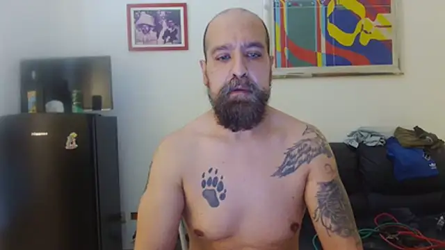 AMIRDIB2025 webcam