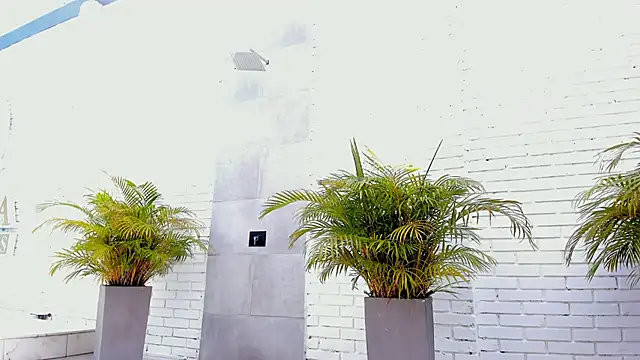 ZoeBlanc webcam