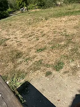 dzbenn webcam