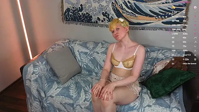 CherrryMuse webcam